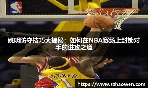 姚明防守技巧大揭秘：如何在NBA赛场上封锁对手的进攻之道